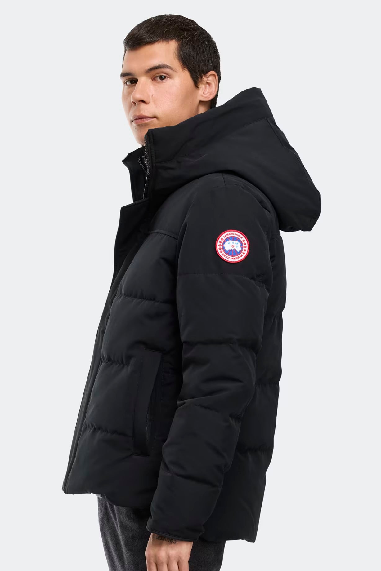 Canada Goose